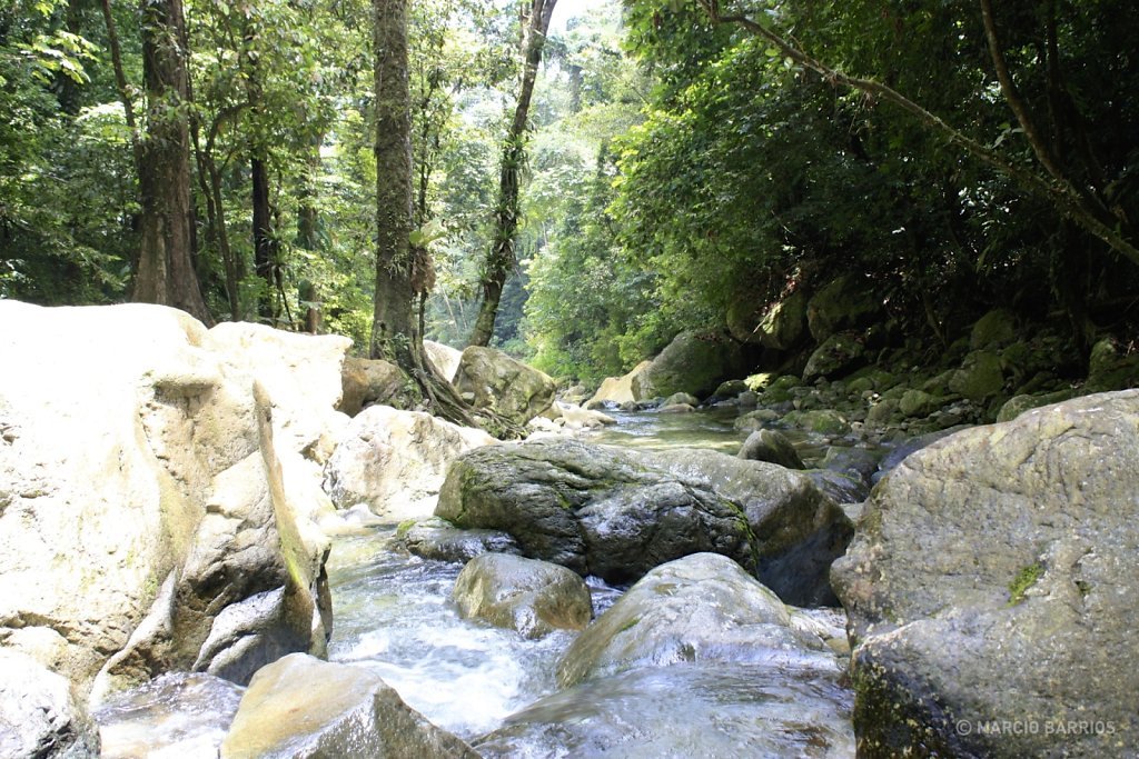 Zacate river