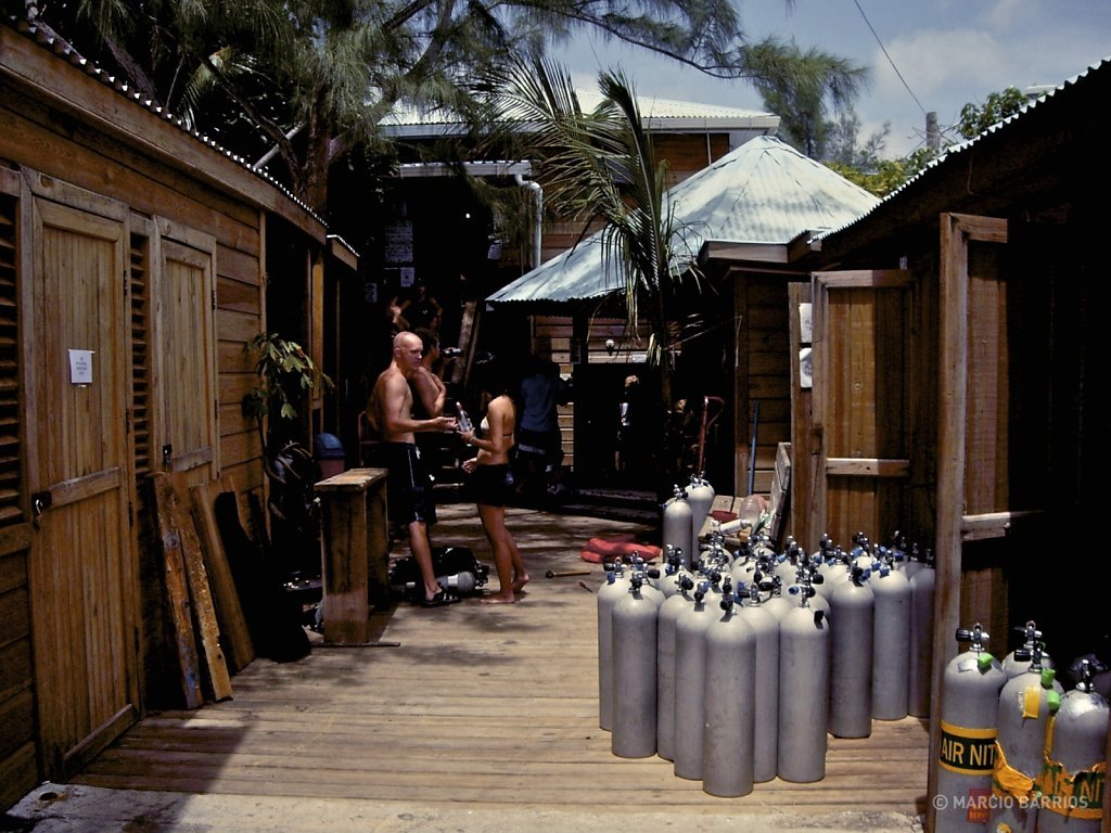 Utila Dive Center's dock