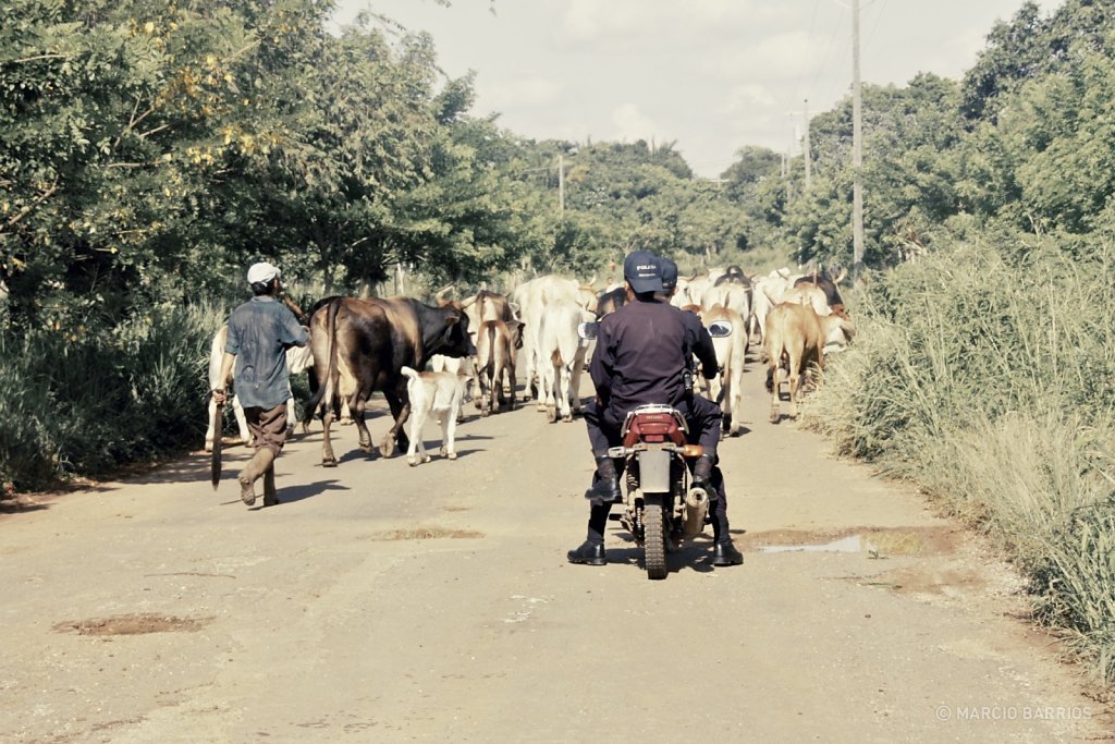 Policemen and a rancher in northern Utila