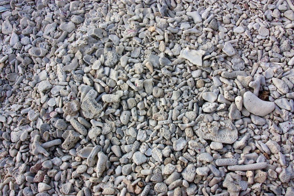 Utila is plenty of coral stones