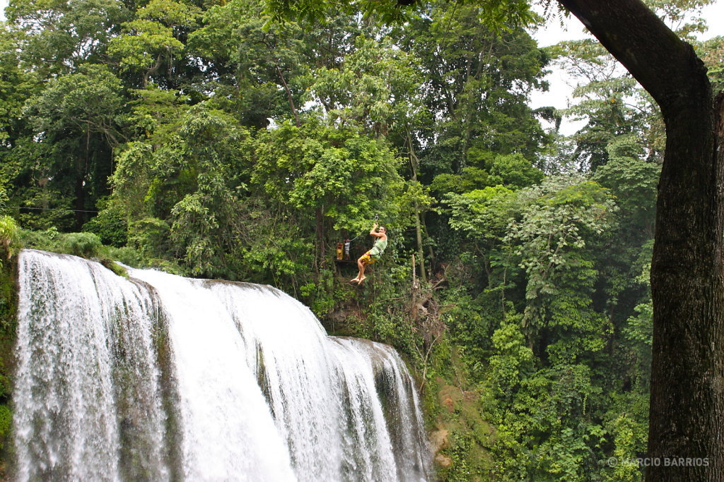 Canopy on the waterfall