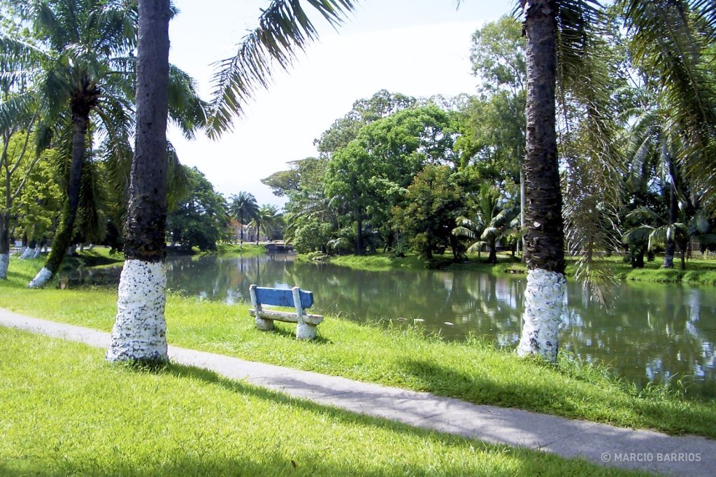 Estero, La Ceiba