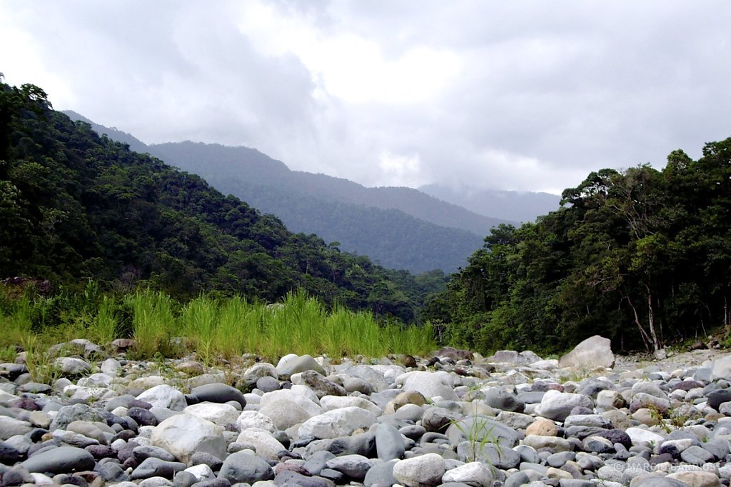 Cangrejal river shore