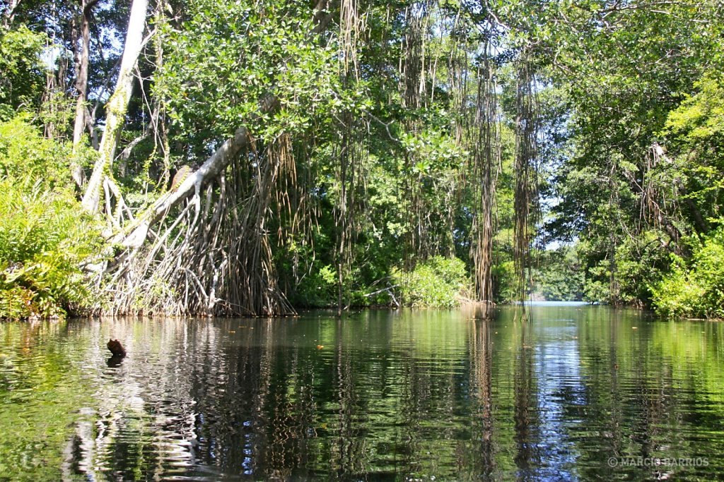 Cacao Lagoon