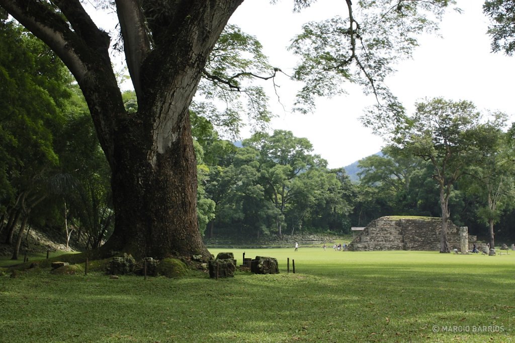 Main group of Copán