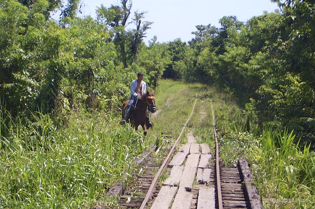 This is the path to arrive to Cuero y Salado, with a small train through this old tracks