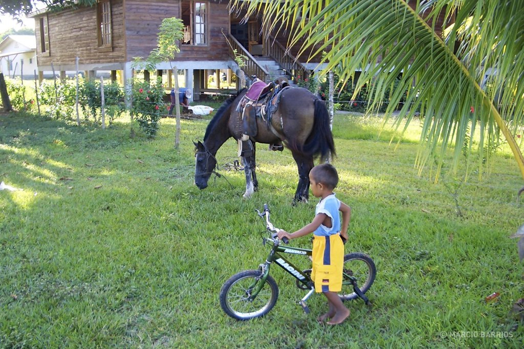 A child inside the wildlife refuge