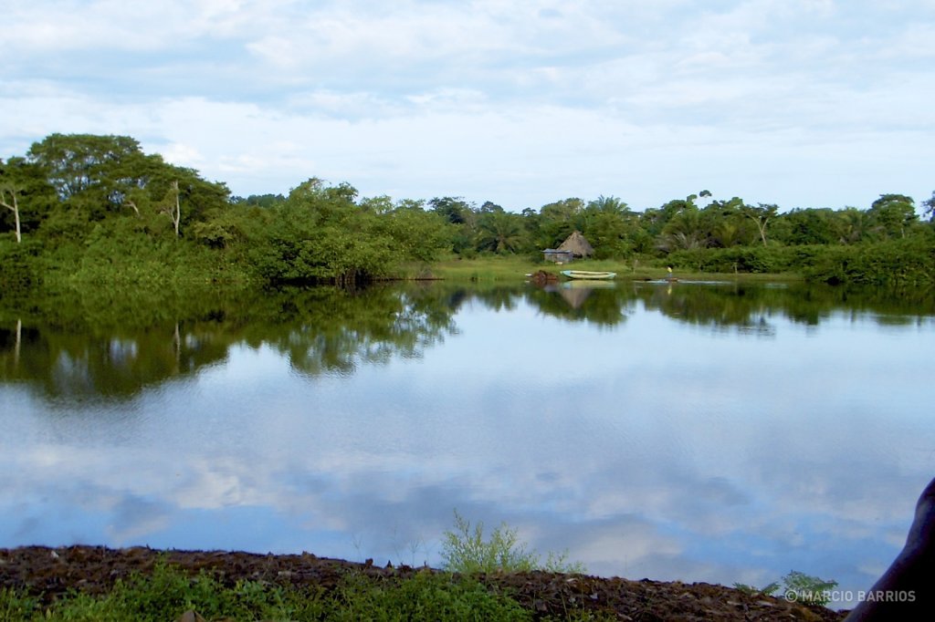 View of the river