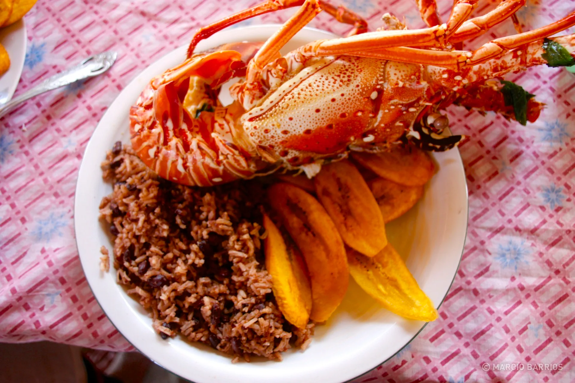 A fresh lobster with red beans and rice, and tajadas