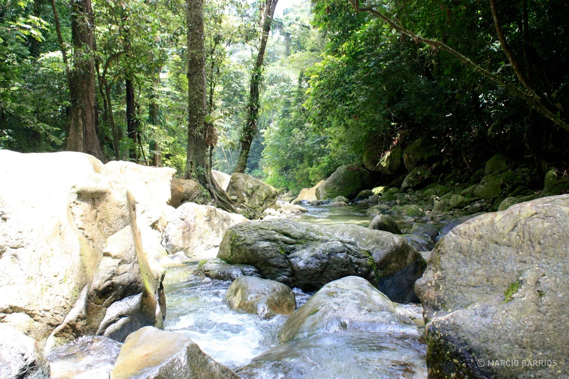 Zacate river