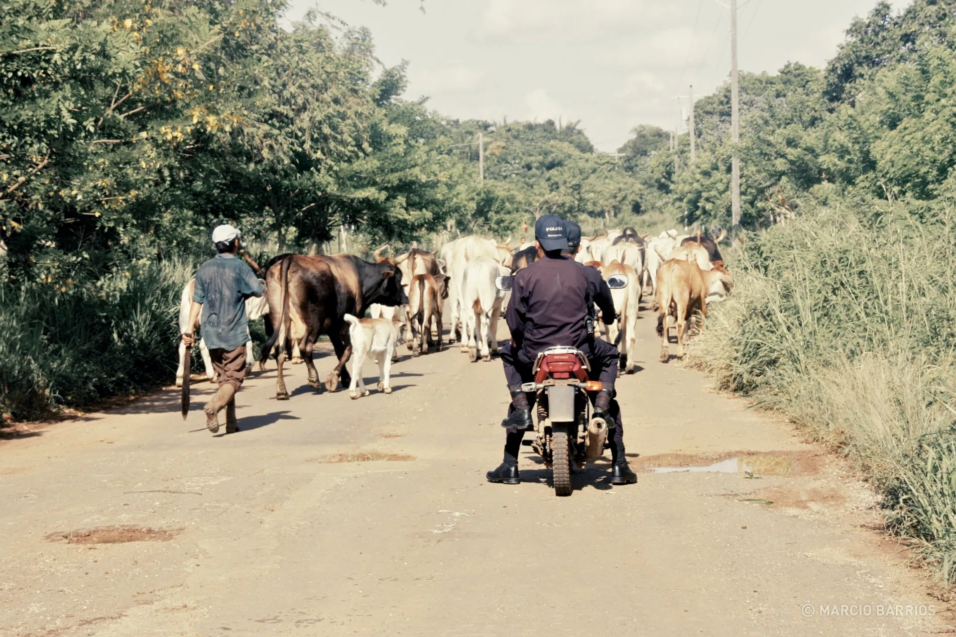 Policemen and a rancher in northern Utila