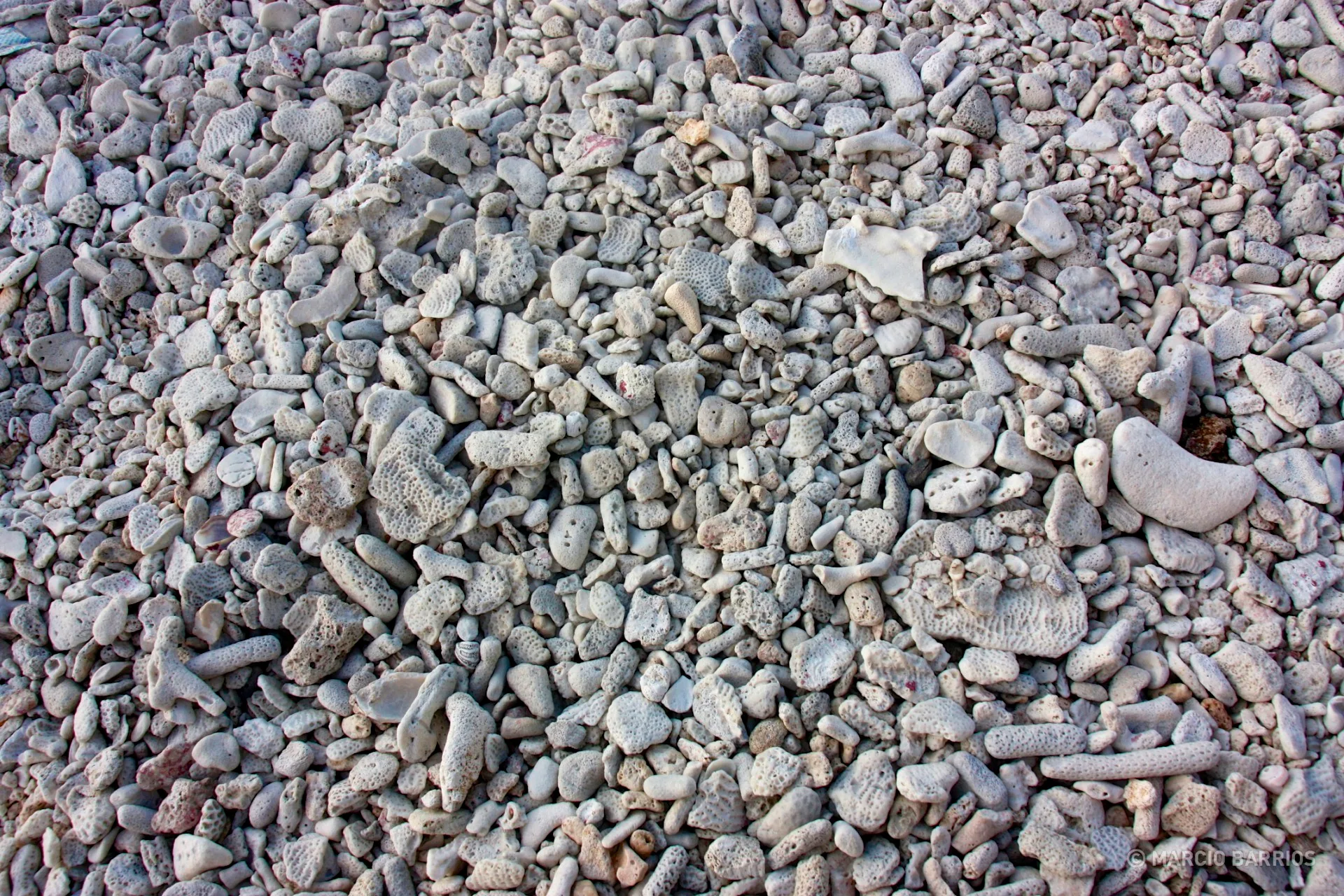Utila is plenty of coral stones