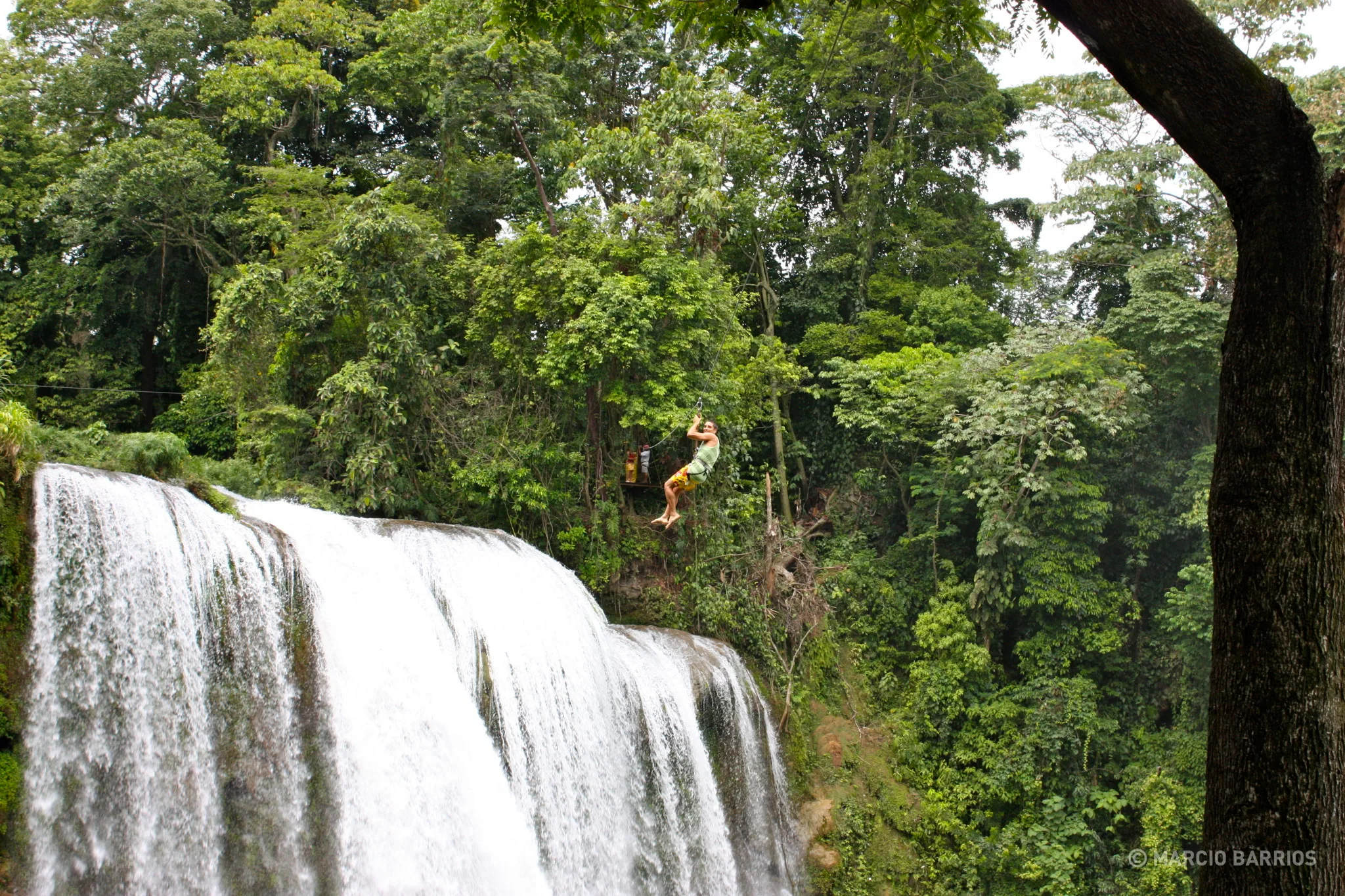 Canopy on the waterfall