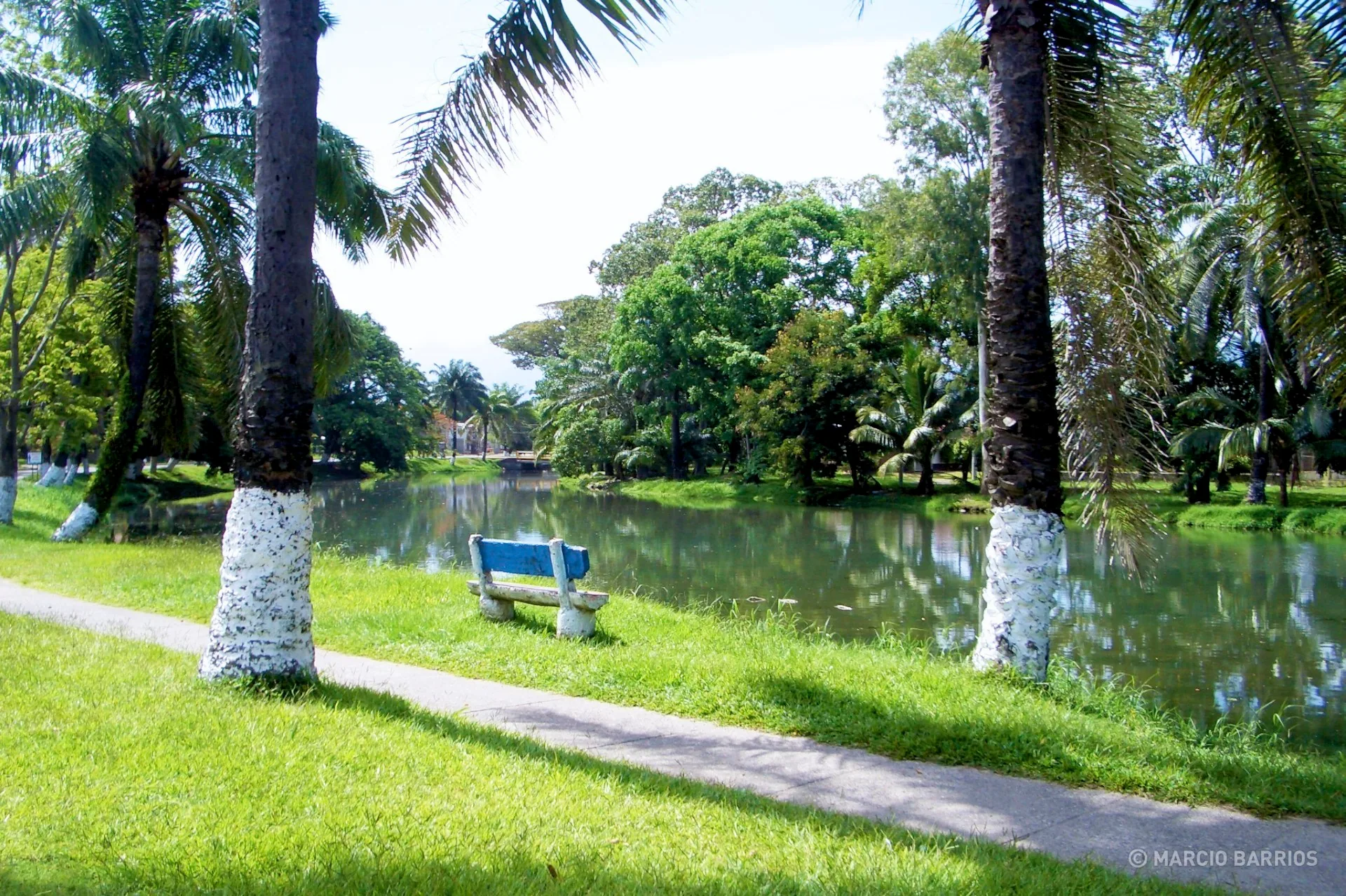 Estero, La Ceiba