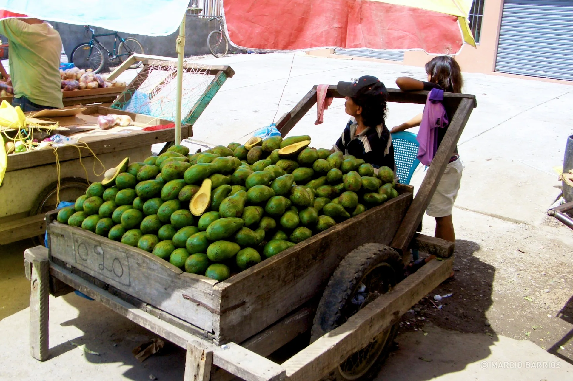 Street vendor selling avocados