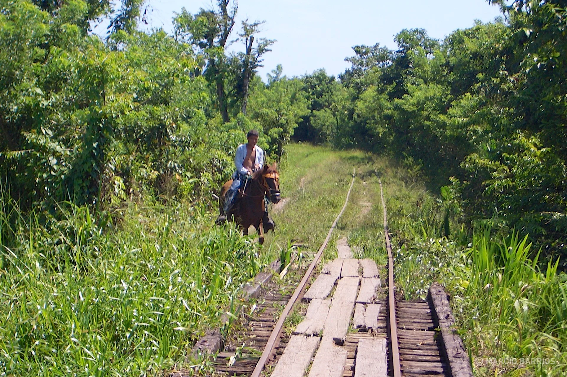 This is the path to arrive to Cuero y Salado, with a small train through this old tracks