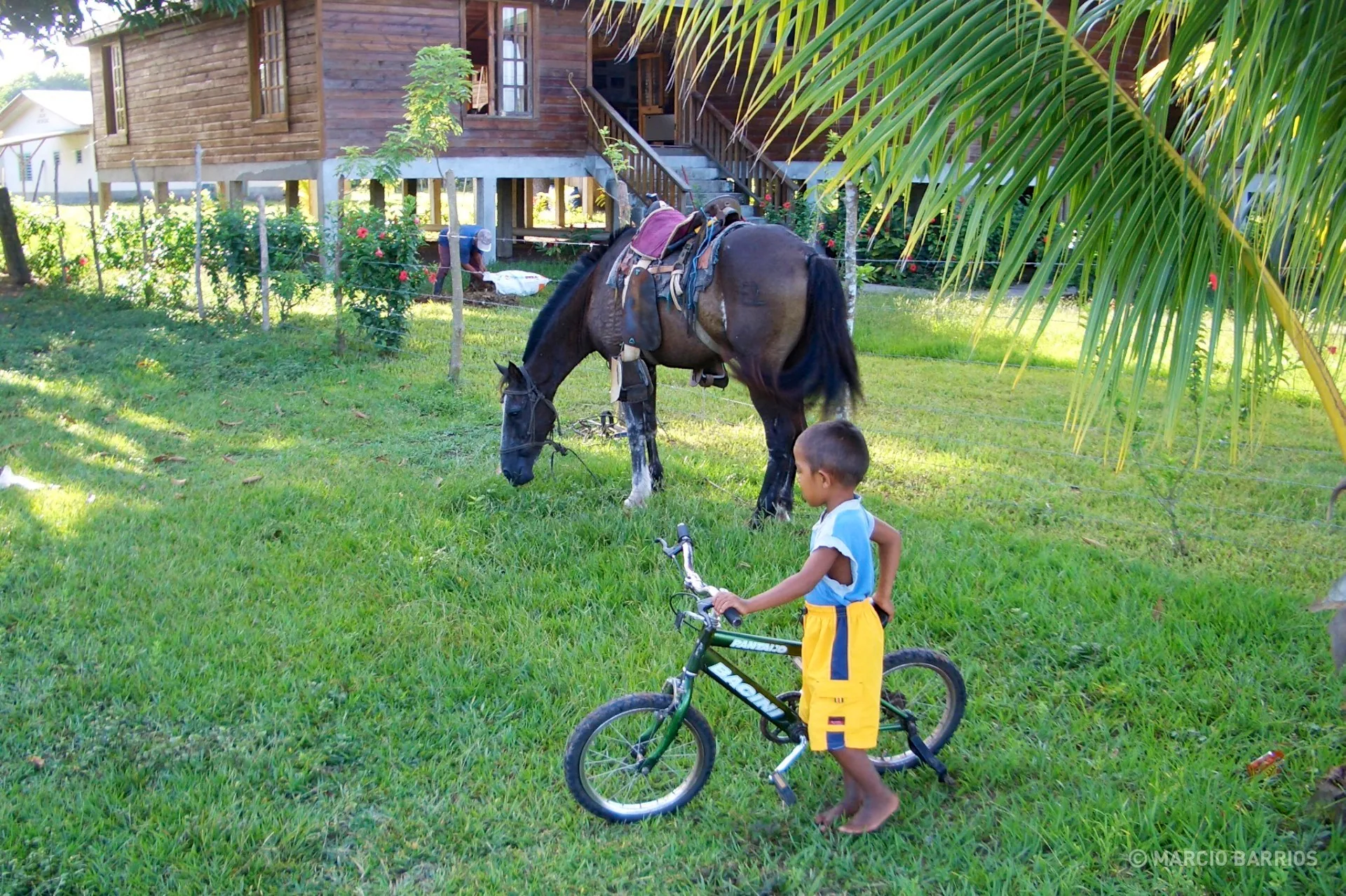 A child inside the wildlife refuge